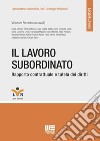 Il lavoro subordinato. Rapporto contrattuale e tutela dei diritti libro di Ferrante Vincenzo