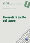 Elementi di diritto del lavoro libro