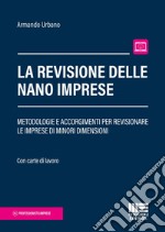 La revisione delle nano imprese