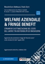 Welfare aziendale & fringe benefit. Strumenti di ottimizzazione del costo del lavoro tra sostenibilità ed innovazione libro