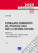 Formulario commentato del processo civile dopo la Riforma Cartabia libro