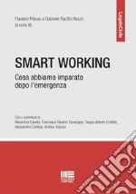 Smart working. Cosa abbiamo imparato dopo l'emergenza libro