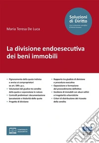 La divisione endoesecutiva dei beni immobili libro