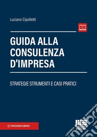 Guida alla consulenza d'impresa. Strategie strumenti e casi pratici libro