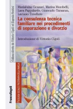 La consulenza tecnica familiare nei procedimenti di separazione e divorzio