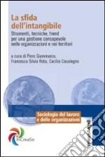 La sfida dell'intangibile. Strumenti, tecniche, trend per una gestione consapevole nelle organizzazioni e nei territori libro