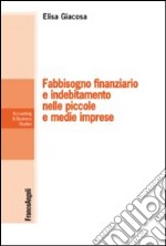 Fabbisogno finanziario e indebitamento nelle piccole e medie imprese libro