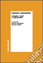 Economia e innovazione. Indagini, rischi e opportunità libro