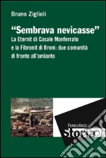 Sembrava nevicasse. La Eternit di Casale Monferrato e la Fibronit di Broni: due comunità di fronte all'amianto libro