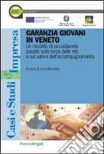 Garanzia giovani in Veneto. Un modello di sussidiarietà basato sulla forza delle reti e sul valore dell'accompagnamento libro