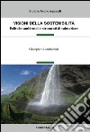 Visioni della sostenibilità. Politiche ambientali e strumenti di valutazione libro di Lombardini Giampiero