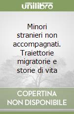 Minori stranieri non accompagnati. Traiettorie migratorie e storie di vita libro