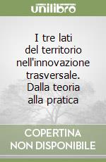 I tre lati del territorio nell'innovazione trasversale. Dalla teoria alla pratica libro