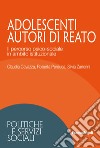 Adolescenti autori di reato. Il percorso psico-sociale in ambito istituzionale libro