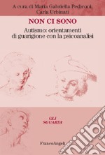 Non ci sono. Autismo: orientamenti di guarigione con la psicoanalisi libro