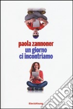 Un giorno ci incontriamo libro