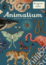 Animalium. Il grande museo degli animali libro