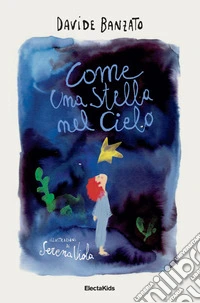 Come una stella nel cielo libro
