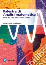 Palestra di analisi matematica 1. Quesiti, test ed esercizi svolti libro