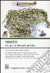 Veneto. Voci per un dizionario giuridico libro