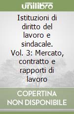 Istituzioni di diritto del lavoro e sindacale. Vol. 3: Mercato, contratto e rapporti di lavoro libro