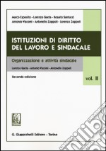 Istituzioni di diritto del lavoro e sindacale. Vol. 2: Organizzazione e attività sindacale libro