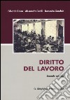 Diritto del lavoro libro