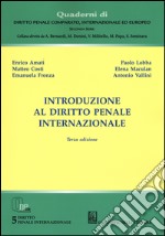 Introduzione al diritto penale internazionale