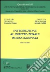 Introduzione al diritto penale internazionale libro