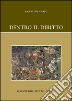 Dentro il diritto libro