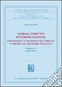 Norma diritto interpretazione. Grammatica e filosofia del diritto a partire da Salvatore Pugliatti