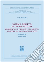 Norma diritto interpretazione. Grammatica e filosofia del diritto a partire da Salvatore Pugliatti libro