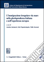 L'immigrazione irregolare via mare nella giurisprudenza italiana e nell'esperienza europea. Con e-book libro