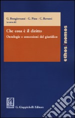 Che cosa è il diritto. Ontologie e concezioni del giuridico libro