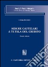 Misure cautelari a tutela del credito libro