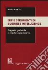 ERP e strumenti di business intelligence. Supporto gestionale e impatto organizzativo libro