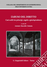 L'abuso del diritto. Casi scelti tra principi, regole e giurisprudenza libro