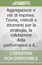 Aggregazione e reti di imprese. Teoria, metodi e strumenti per la strategia, la valutazione della performance e il rating assignment libro