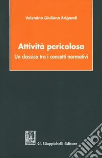 Attività pericolosa. Un classico tra i concetti normativi libro