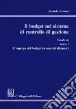 Il budget nel sistema di controllo di gestione. Estratto libro