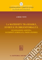 La maternità tra regole, divieti e plurigenitorialità. Fecondazione assistita, maternità surrogata, parto anonimo libro