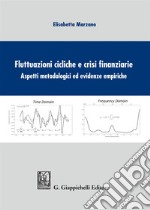 Fluttuazioni cicliche e crisi finanziare. Aspetti metodologici ed evidenze empiriche