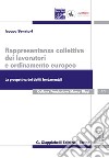 Rappresentanza collettiva dei lavoratori e ordinamento europeo. La prospettiva dei diritti fondamentali libro