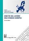 Diritto del lavoro dell'Unione Europea libro