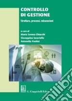 Controllo di gestione. Strutture, processi, misurazioni