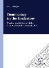 Democracy in the undertow. Models and criticism of the anti-corruption criminal law libro