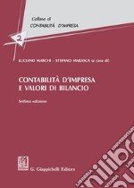 Contabilità d'impresa e valori di bilancio libro