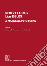 Recent labour law issues. A multilevel perspective libro