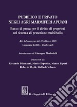 Pubblico e privato negli agri marmiferi apuani. Banco di prova per il diritto di proprietà nel sistema di protezione multilivello. Atti del Convegno (22 febbraio 2019) libro