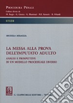 La messa alla prova dell'imputato adulto. Analisi e prospettive di un sistema processuale diverso